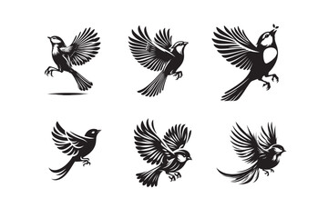 Lovebird Cockatiel  vector silhouette different poses collection set