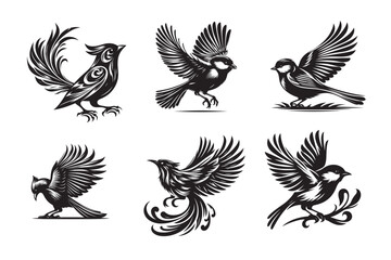 Lovebird Cockatiel  vector silhouette different poses collection set