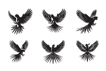 Parakeet Flying Poses black Silhouette Vector.eps