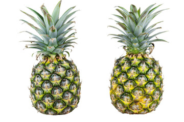 Two pineapple slices on a white background