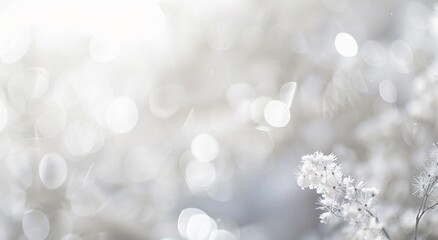 Obraz premium White Blurred Background with Delicate Flowers