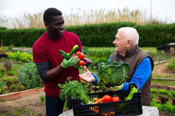 Getting to know the neighbors at the country houses in village