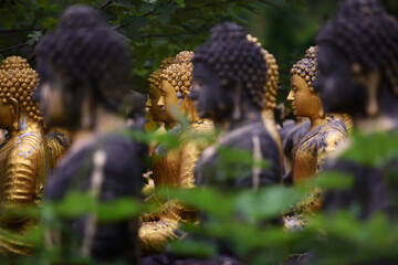 Group of ancient Buddha statue which some golden gild statue was left uncultivated among the forest.