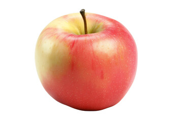 A red and yellow apple with a stem