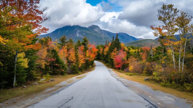 An empty road passing through colorful autumn trees at Baxter State Park Maine United States : Generative AI