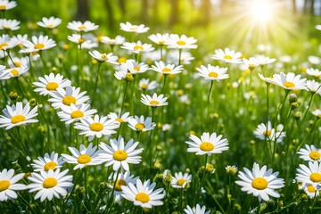 Fototapeta premium Beautiful nature on a sunny day