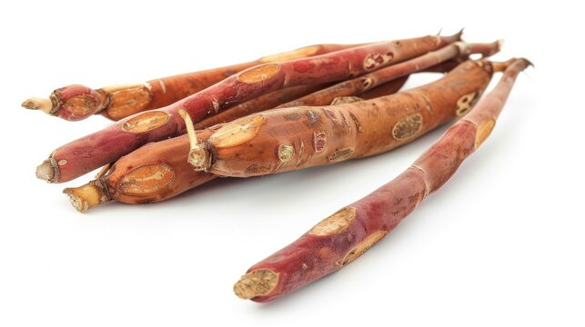 Butea superba Roxb root isolated on white background known as red Kwao Krua or Leguminosae Butea superba