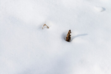 View of the snow-covered ground