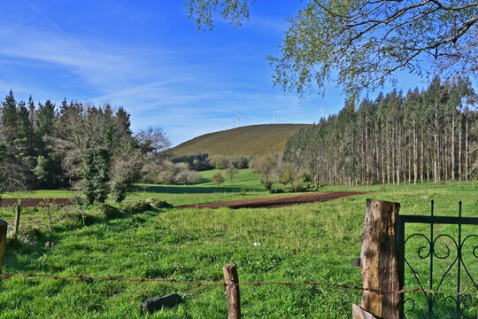 Paesaggi di Galizia, campagna e boschi sul cammino Primitivo di Santiago di Compostela - Galizia, Spagna