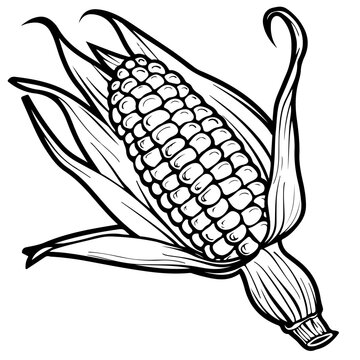 recommend clip art: Cute vector illustration hand drawn outline of corn  