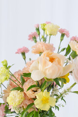 summer beautiful  flowers on white background