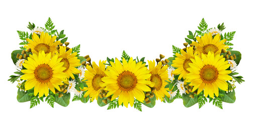 Sunflowers and wild flowers in a summer floral border isolated on white or transparent background
