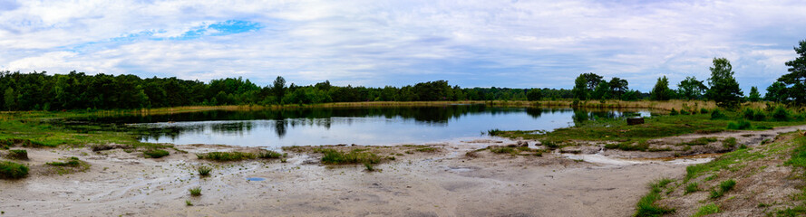 Panoramic photo of a lake with reflection of the trees in the middle of the forest surrounded by green plants. With a cloudy sky. Border park De Zoom - Kalmthoutse heide).