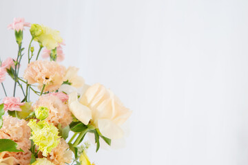 summer beautiful  flowers on white background