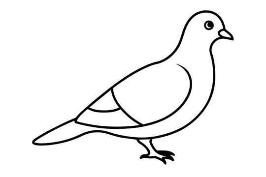 recommend clip art: line art of a pigeon