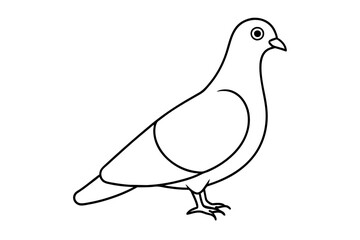 line art of a pigeon