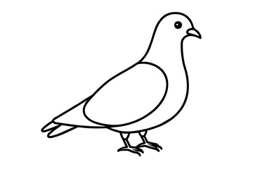 line art of a pigeon