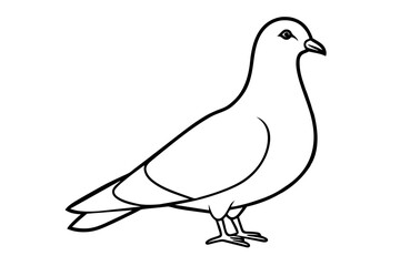 line art of a pigeon