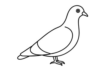 line art of a pigeon