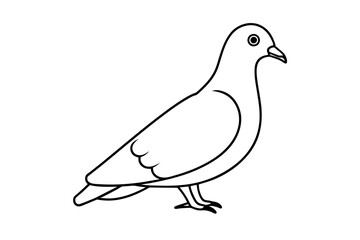 line art of a pigeon