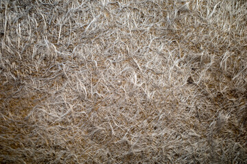 Brown wood texture background surface with abstract patterns