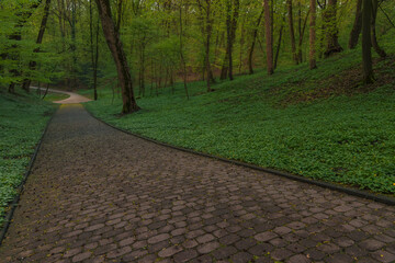 waling road foot path in park dusk morning outdoor environment space common view picture