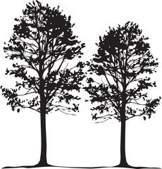 silhouettes of trees © Jani Vector images
