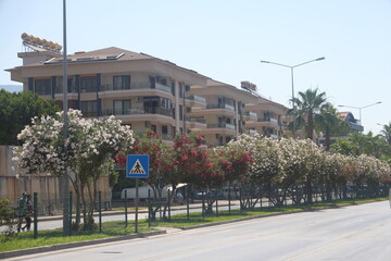 Naklejka premium a busy highway with a curb in the city with green spaces and a dividing metal mesh 2