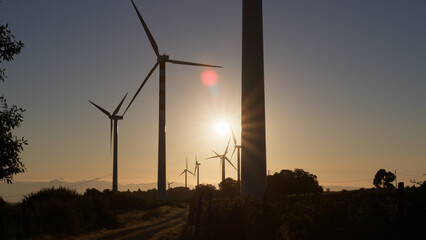 Windmills In The Nature For Energy Production