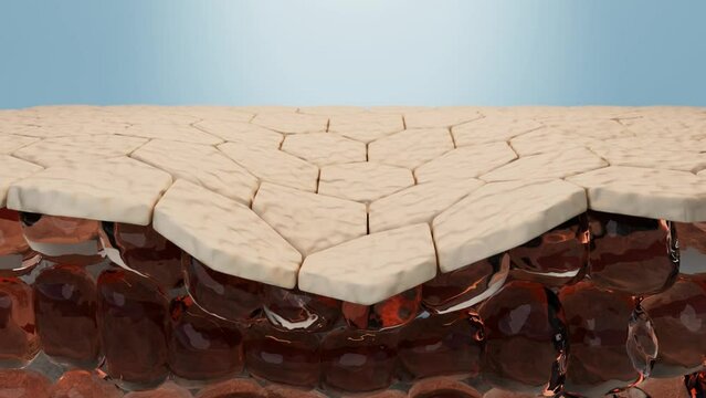 Molecules of Moisture serum drop to skin cells repair sagging to healthy skin. Anti Aging and Skin treatment concept. 3D rendering.