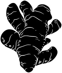 food illustration turmeric silhouette ginger logo herb icon spice outline ingredient nature raw aromatic galangal health healthy medicine aroma shape leaf cooking herbal for vector graphic background