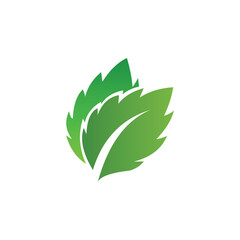 tomato leaf logo design with green color