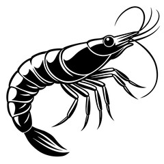 illustration of shrimp vector design