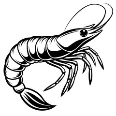 illustration of a shrimp
