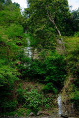 portrait of a beautiful waterfall with flowing water 