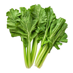 [Transparent Background PNG]Fresh Green Vegetables on White Background