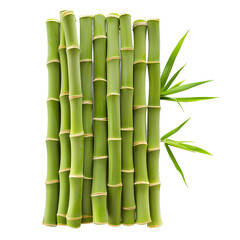 [Transparent Background PNG]Fresh green bamboo arrangement