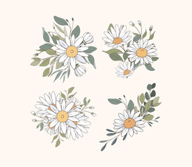 Hand Drawn Daisy Leaf and Flowers Collection