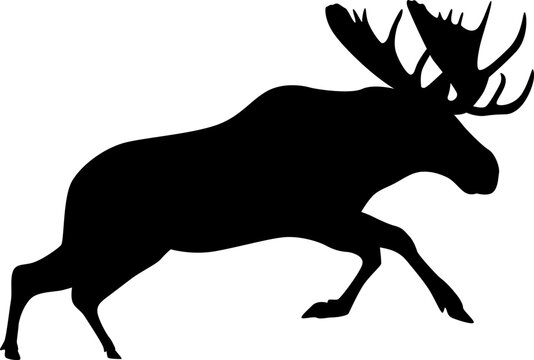 recommend clip art: moose silhouette