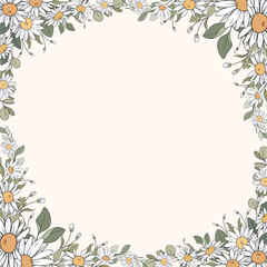 Hand Drawn Daisy Leaf and Flowers Frame Background