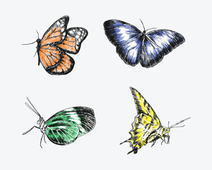 Set of butterflies with engraving drawing style. isolated background. vector illustration.