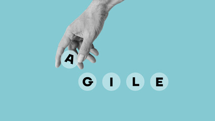 Agile development can refer to any project management methodology that uses a flexible approach