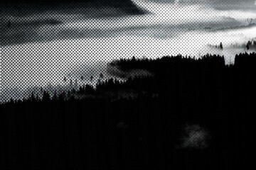 View of the misty woods in Norway