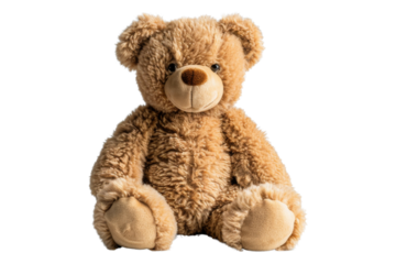 Brown teddy bear sitting with black background