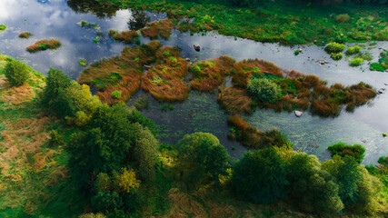 aerial landscape summer nature colorful scenery environment space swampy river water plants and vivid green plants foliage of tropical climate region