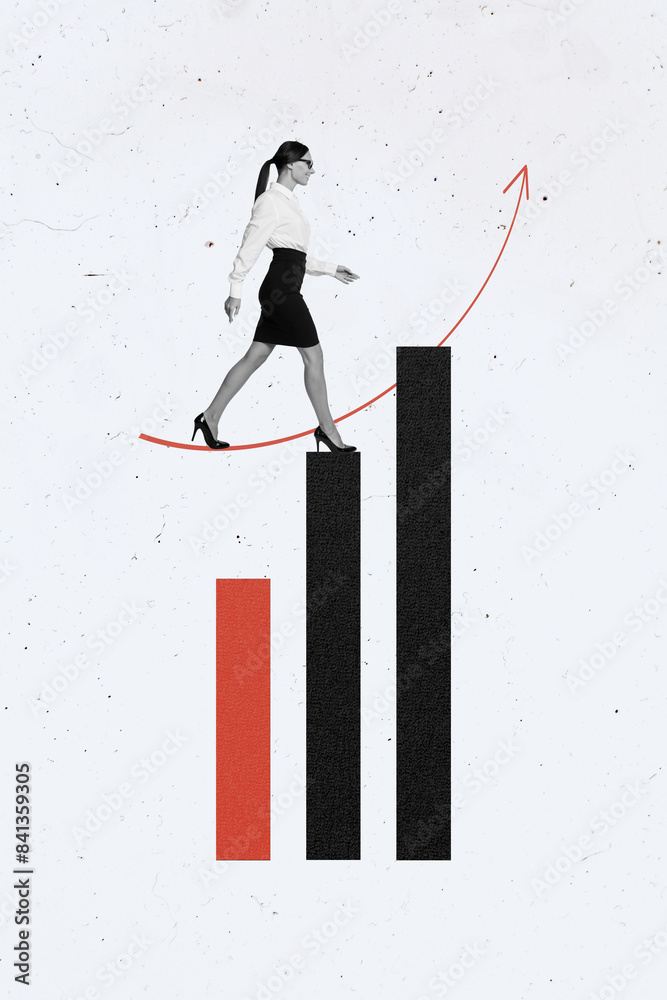Poster poster banner collage picture of business lady go up graphs columns on white color background