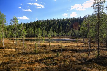 Fototapeta premium A pristine lake in Bjornlandets national park, Sweden