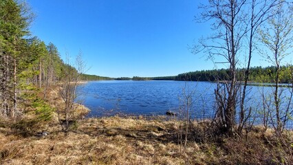 Forest lake - serene reflection on a calm lake surrounded by trees under a clear blue sky in Sweden