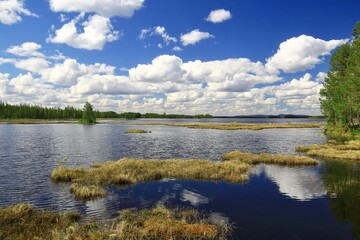 Lake and clouds reflecting on tranquil water with forested shoreline and marsh in northern Sweden