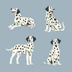 Set of four Dalmatian dogs in different poses. Vector graphics.